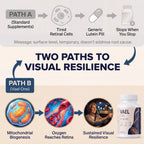 Two paths to visual resilience: standard supplements versus Vael One