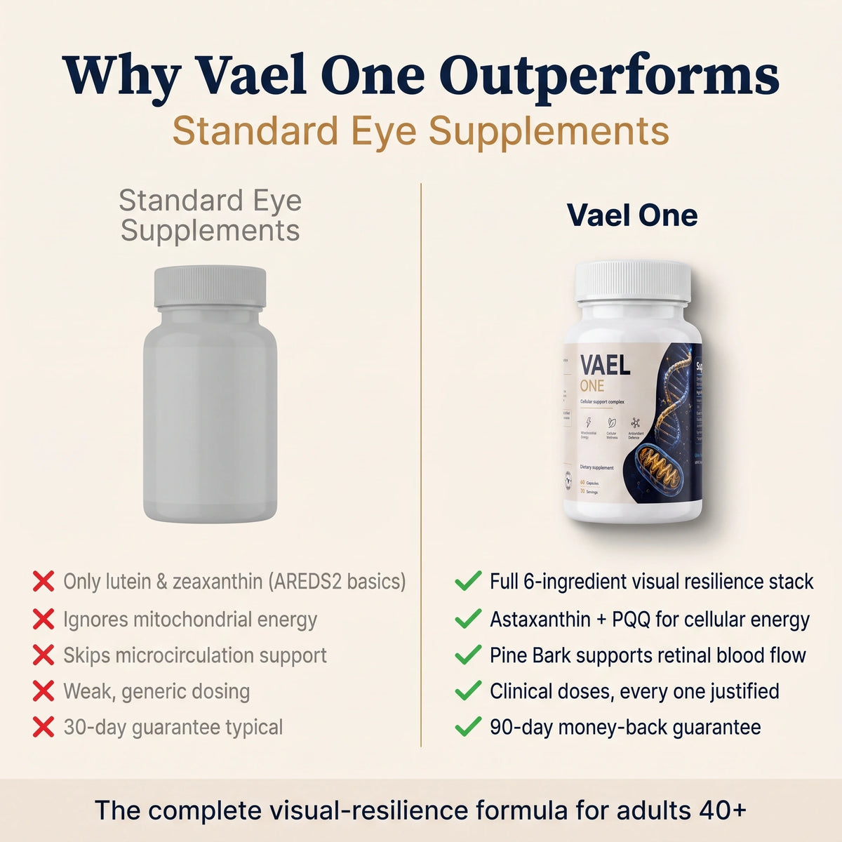 Vael One Visual Resilience